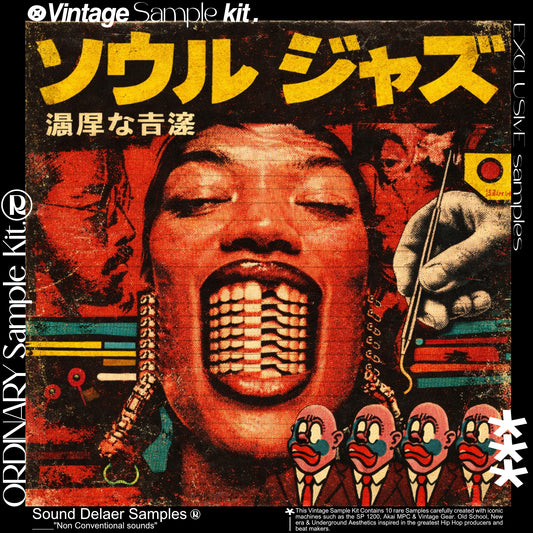 "ORDINARY" Vintage Soul & Jazz Sample Kit