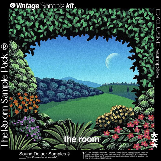 "THE ROOM" VINTAGE SOUL SAMPLE PACK