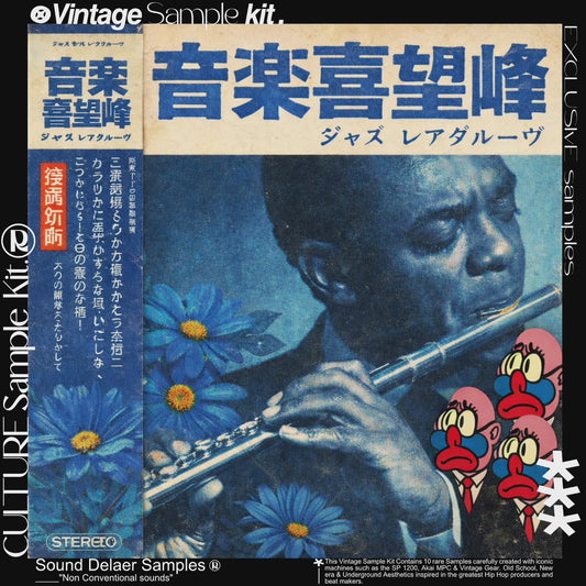 "CULTURE" Vintage Soul & Jazz Sample Kit