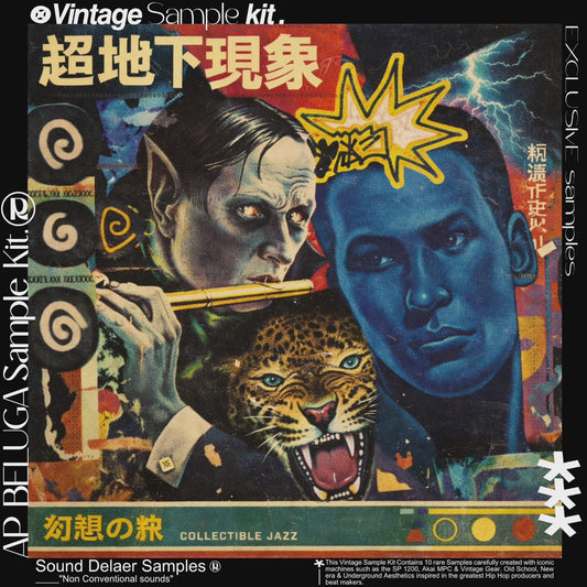 "AP BELUGA" Vintage Soul & Jazz Sample Kit